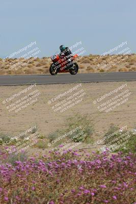 media/Mar-12-2023-SoCal Trackdays (Sun) [[d4c8249724]]/Turn 15 Inside Bloom (130pm)/